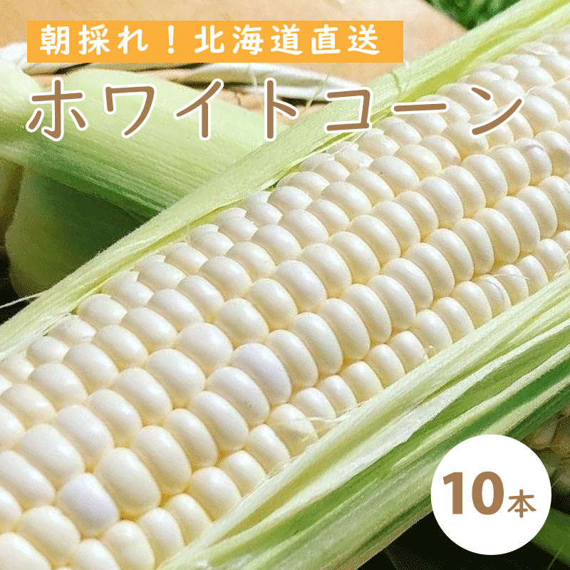 【ふるさと納税】 2024年予約 ホワイトコーン 無農薬 無化学肥料 北海道 甘い とうもろこし トウモロコシ コーン 北海道産 アサンテファーム 朝採り 朝採れ 新鮮 旬 コーン 数量限定 送料無料 当麻町 お取り寄せ