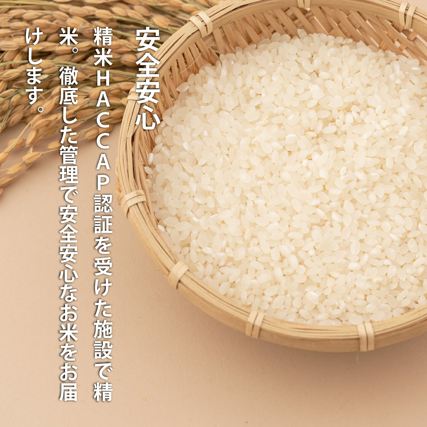 【ふるさと納税】 生活応援！価格大幅改定！即日～14営業日以内発送 無洗米ななつぼし ※令和7年産※ ブランド米 北海道米 産地直送 送料無料（選べる 単品／定期便）5kg 1回 6回 無洗米 安全安心 人気 お取り寄せ 北海道 当麻町 米どころ JA当麻