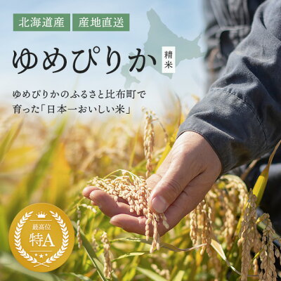 楽天ふるさと納税　【ふるさと納税】2022年産新米予約開始　久保農園 ゆめぴりか 精米20kg