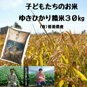 【ふるさと納税】菅原農産 ゆきひかり 精米30kg