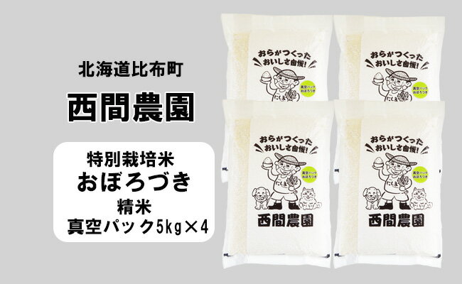 【ふるさと納税】西間農園おぼろづき(特別栽培米)精米20kg真空パック5221_s