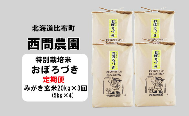12位! 口コミ数「0件」評価「0」新米先行予約【2024年産】西間農園　おぼろづき(特別栽培米)　みがき玄米　20kg【3か月定期便】
