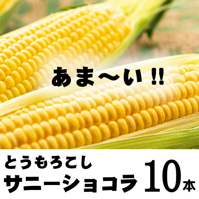 北海道ぴっぷ町 農業生産法人株式会社ノウリエ とうもろこし「サニーショコラ」10本入り[8月中旬頃より発送開始予定]