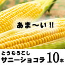 15位! 口コミ数「0件」評価「0」北海道ぴっぷ町 農業生産法人株式会社ノウリエ とうもろこし「サニーショコラ」10本入り【8月中旬頃より発送開始予定】