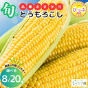 【ふるさと納税】たかだ畑 とうもろこし 品種おまかせ 【たかだ畑】選べる容量 8本/20本 あまいんです 恵味ゴールド とうもろこし スイートコーン 産地直送 ...