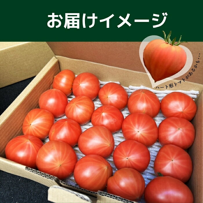 【ふるさと納税】レディーファーストトマト 2kg【稲場農場】トマト とまと 野菜 甘み 酸味 濃厚 ジューシー 産地直送 北海道 比布町 ぴっぷ 1024-003