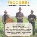 北海道比布町の画像2