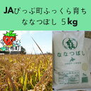 【ふるさと納税】JAぴっぷ町 ななつぼし 精米5kg