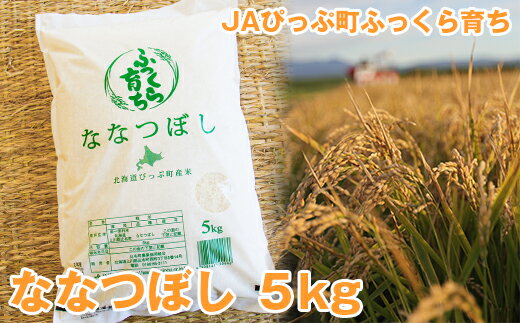 【ふるさと納税】JAぴっぷ町2022年産新米ななつぼし精米5kg