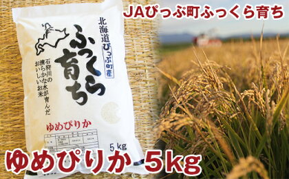 2023年産　JAぴっぷ町　ゆめぴりか 精米5kg