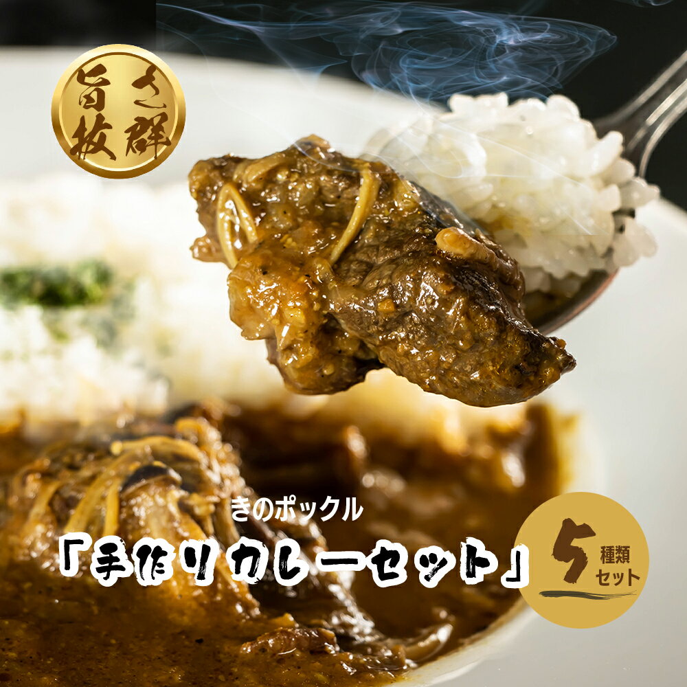 【ふるさと納税】きのポックル「手作りカレー（5種類）セット」 手作りカレー レトルトカレー 【E11201】