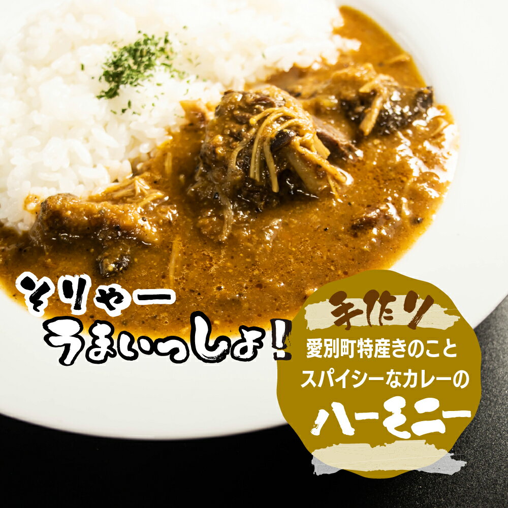 【ふるさと納税】きのポックル「手作りカレー（5種類）セット」 手作りカレー レトルトカレー 【E11201】