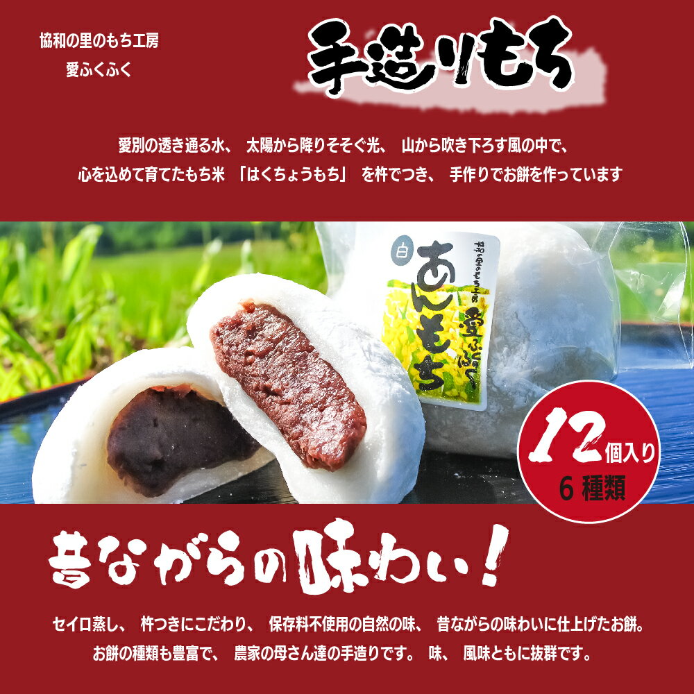 10位! 口コミ数「0件」評価「0」 手造り あんもち 愛ふくふく「あんもち（6種類12個入り）セット」【E13203】