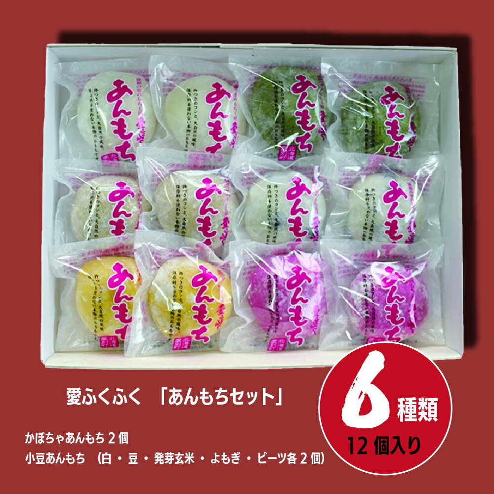 【ふるさと納税】 手造り あんもち 愛ふくふく「あんもち（6種類12個入り）セット」 あんころもち 12000円 1万2000円【E13203】