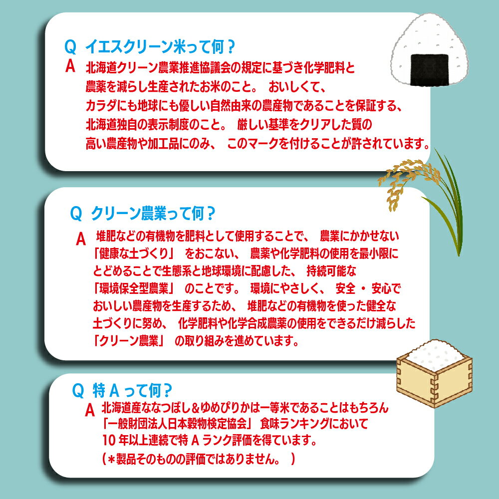 【ふるさと納税】 愛別町産米 （ななつぼし5kg＆ゆめぴりか5kg） 米 ななつぼし ゆめぴりか 北海道産 白米 精米 送料無料 おこめ こめ 愛別米 【A19203】