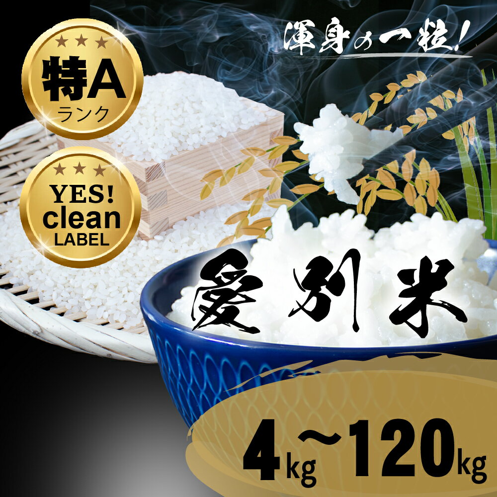 ななつぼし ゆめぴりか 北海道産 白米 精米 送料無料 おこめ こめ 愛別米 [A62222]