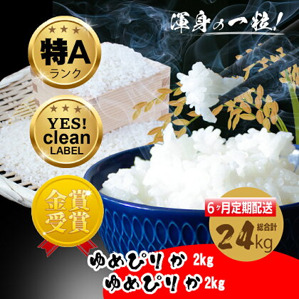 愛別町産米 （ゆめぴりか2kg×2袋） 6ヶ月定期配送米 ゆめぴりか 北海道産 白米 精米 送料無料 おこめ こめ 愛別米 【A45326】