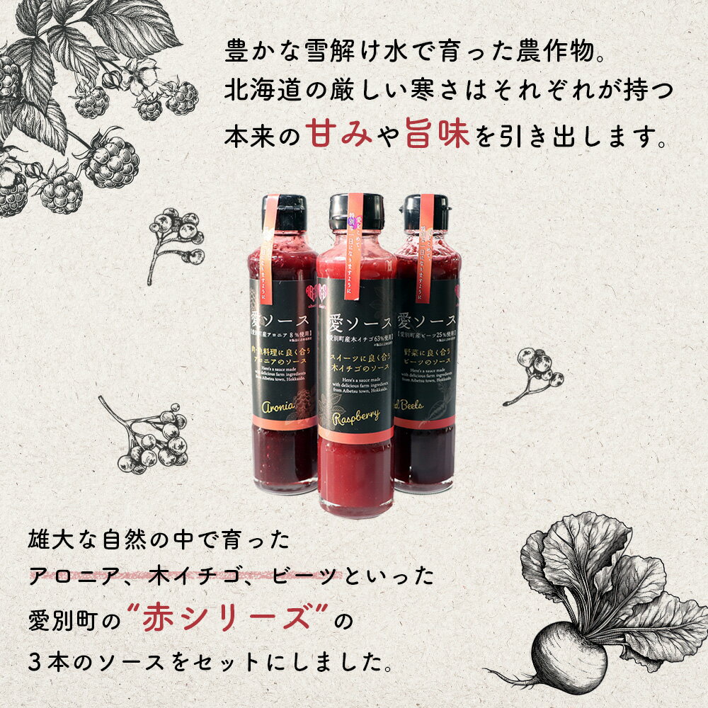 【ふるさと納税】【北海道愛別町産】愛ソース3本セット（ビーツ・アロニア・木苺）【E48235】