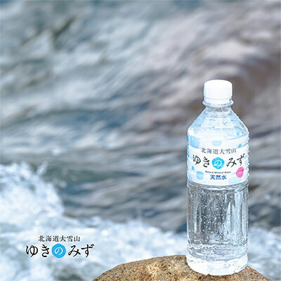 【ふるさと納税】北海道大雪山　ゆきのみず　550ml×24本入り【601】【1086846】
