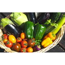 【ふるさと納税】『旬なお野菜をお届け!』約10種類お野菜詰め合わせセットをお届けします!【岸田農園産】【配送不可地域:離島】【1615971】