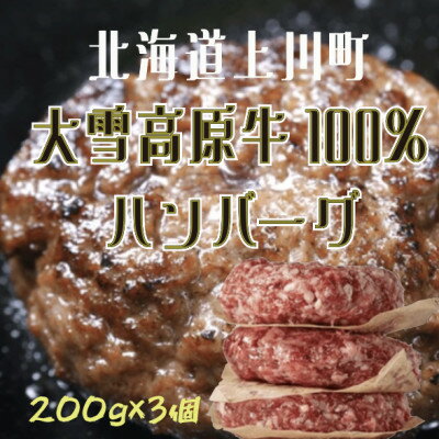 名称 大雪高原牛100%ハンバーグ冷凍 男前な超粗挽き200g【3個】発酵の力で旨み凝縮ガクヤバーガー監修 保存方法 冷凍 発送時期 2026年2月より順次発送※生産・天候・交通等の事情により遅れる場合があります。 提供元 ジプシーファイヤ...