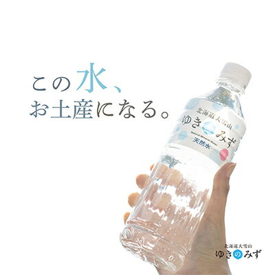 [毎月定期便]北海道大雪山 ゆきのみず 550ml×24本入り全10回[618]