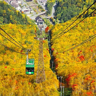 【ふるさと納税】大雪山層雲峡・黒岳ロープウェイ　往復乗車引換券　小学生 1名様【302】【10860...