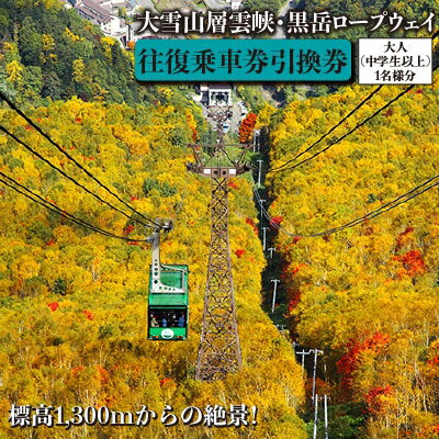 【ふるさと納税】大雪山層雲峡・黒岳ロープウェイ　往復乗車引換券　大人(中学生以上)1名様【301】【1086076】