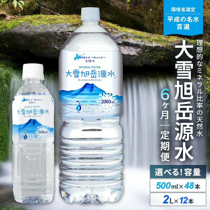 [名水百選][6ヶ月定期便]選べる容量!「大雪旭岳源水」(500ml×48本・2L×12本)[株式会社 大雪水資源保全センター]