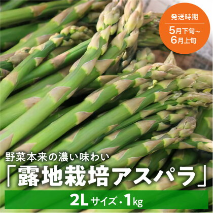 【5月下旬～6月上旬発送】旬の採れたて野菜「アスパラガス」