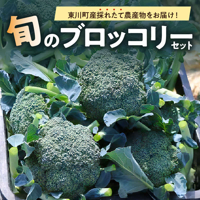 [7月下旬発送]旬の採れたて野菜「ブロッコリーセット」