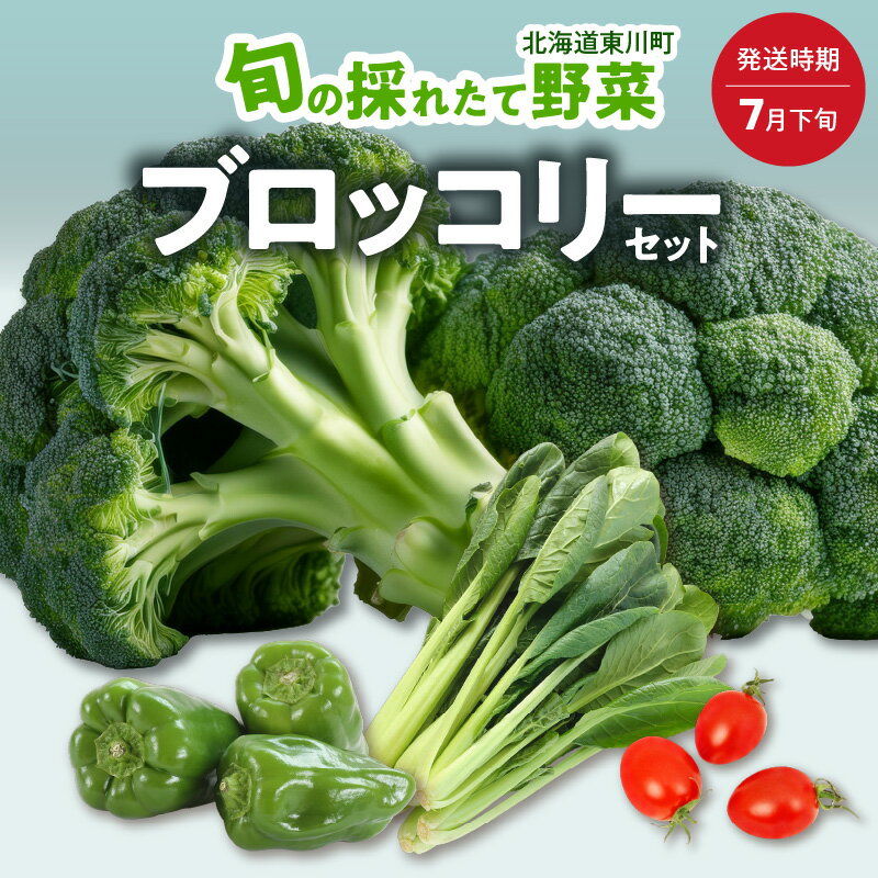 【ふるさと納税】【7月下旬発送】旬の採れたて野菜「ブロッコリーセット」