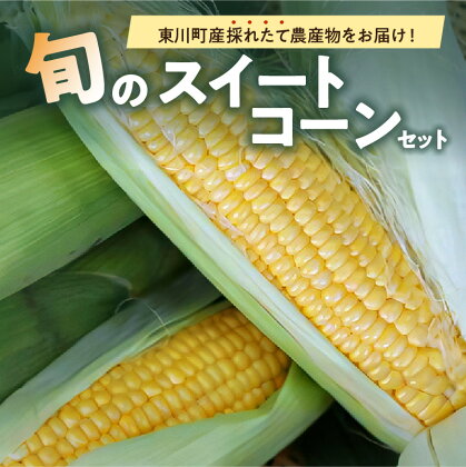 【8月下旬より順次発送】旬の採れたて野菜「スイートコーンセット」