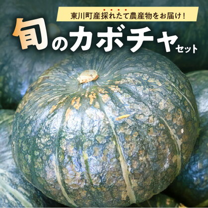 【9月下旬発送】旬の採れたて野菜「カボチャセット」