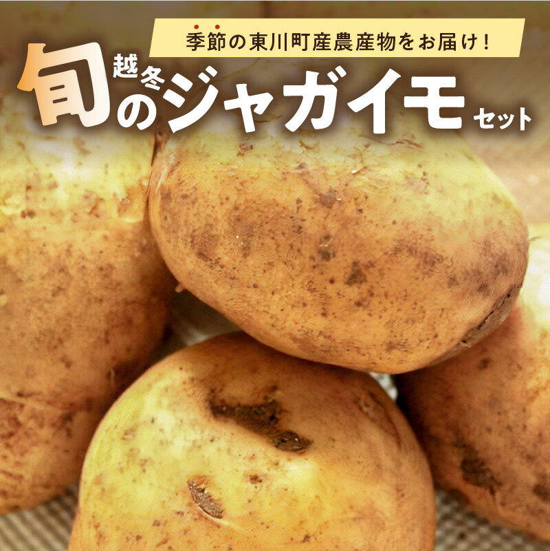 【ふるさと納税】【1月下旬発送】旬のお野菜「越冬ジャガイモセット」