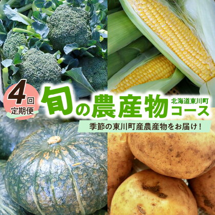 【4回定期便】旬の農産物コース