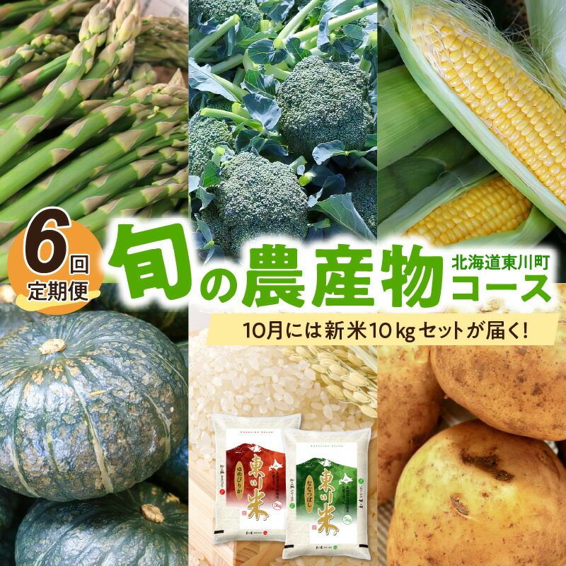 12位! 口コミ数「0件」評価「0」【6回定期便】旬の農産物コース