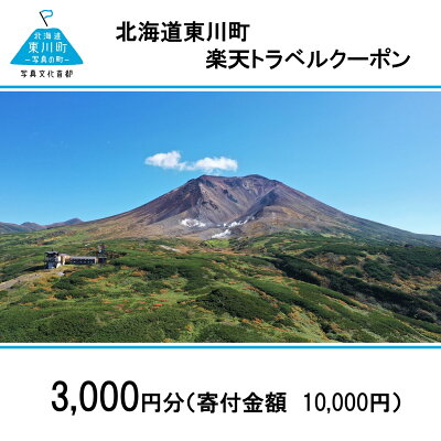 楽天ふるさと納税　【ふるさと納税】北海道東川町の対象施設で使える楽天トラベルクーポン寄付額10,000円