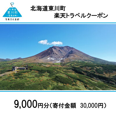 楽天ふるさと納税　【ふるさと納税】北海道東川町の対象施設で使える楽天トラベルクーポン寄付額30,000円