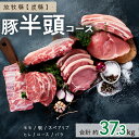 【ふるさと納税】放牧豚”炭豚”豚半頭コース