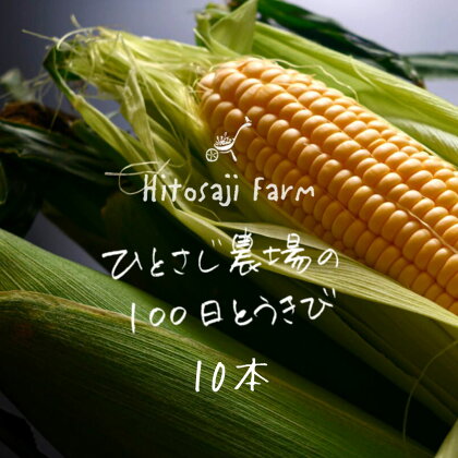 ひとさじ農場の100日とうきび（朝採れ・農場直送）　北海道　北海道美瑛　北海道美瑛町　美瑛町　美瑛　とうきび　とうもろこし　スイートコーン　北海道産　美瑛産　墫乃字　[014-33]