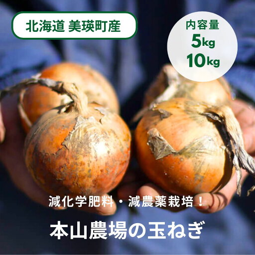 【ふるさと納税】【令和7年産予約受付!】本山農場の玉ねぎ5kg 10kg 北海道 美瑛 たまねぎ 玉葱 野菜 送料無料 玉ネギ タマネギ オニオン スライス サラダ ハンバーグ 肉じゃが 味噌汁 焼き肉 バーベキュー BBQ スープ 国産 新鮮 【ふるさと納税】【令和7年産予約受付!】本山農場の玉ねぎ5kg 10kg 北海道 美瑛 たまねぎ 玉葱 野菜 送料無料 玉ネギ タマネギ オニオン スライス サラダ ハンバーグ 肉じゃが 味噌汁 焼き肉 バーベキュー BBQ スープ 国産 新鮮