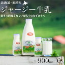 【ふるさと納税】ファームズ千代田 ジャージー牛乳 900ml×6本 | ミルク 冷蔵 人気 送料無料 北海道 美瑛 おすすめ お土産 牛乳 ジャージー ジャージ...