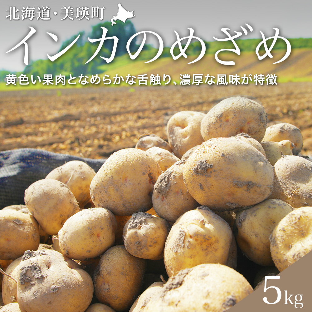 【ふるさと納税】 【令和7年産予約受付！】黒木農場 じゃがいも（インカのめざめ）5kg | 人気 おすすめ ランキング いも 芋 イモ じゃがいも ジャガイモ インカの目覚め 北海道 野菜[013-62]