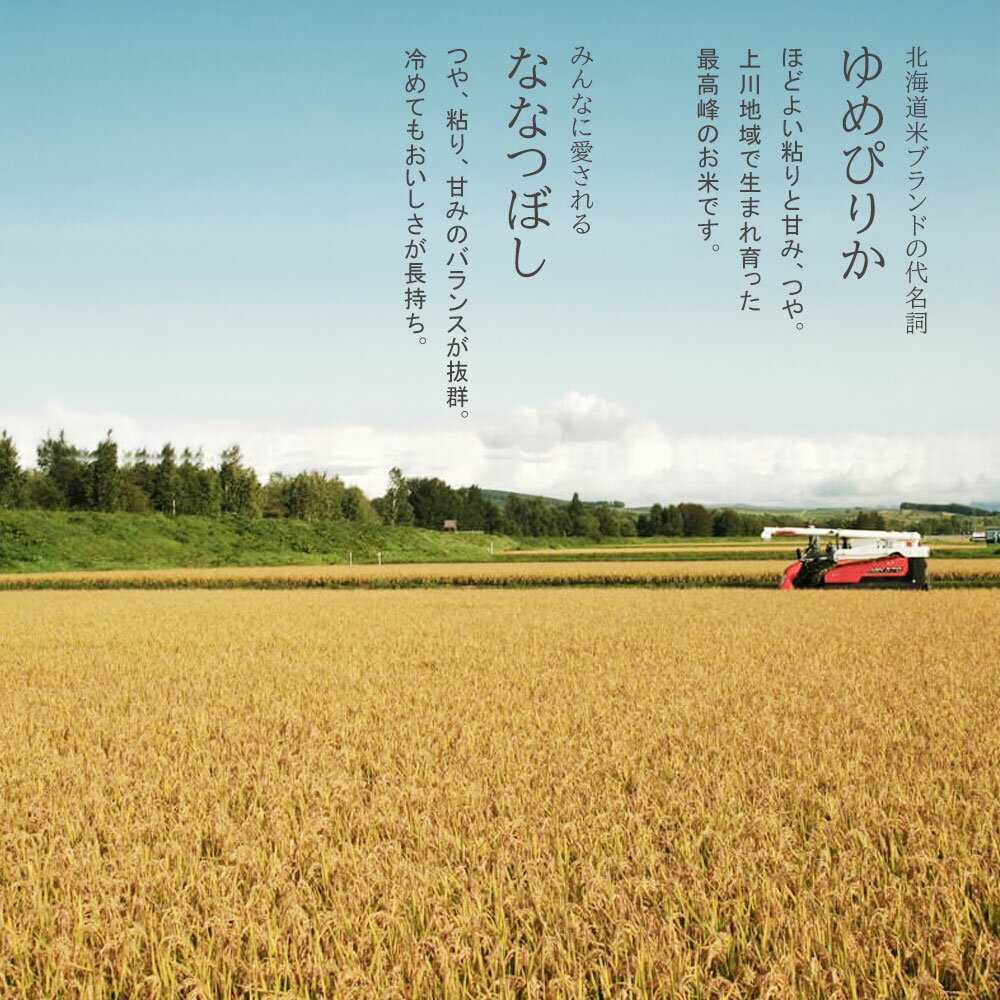 【ふるさと納税】【先行予約】ななつぼし＆ゆめぴりか 食べ比べセット 定期便 選べる 各2kg 各5kg 1回 3回 6回 12回 令和8年産 特A獲得！皇室献上米に選ばれた美瑛米 米 お米 こめ コメ ブランド米 ごはん ななつぼし ゆめぴりか 精米 白米 北海道産 北海道 JAびえい