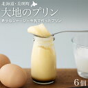 【ふるさと納税】大地のプリン