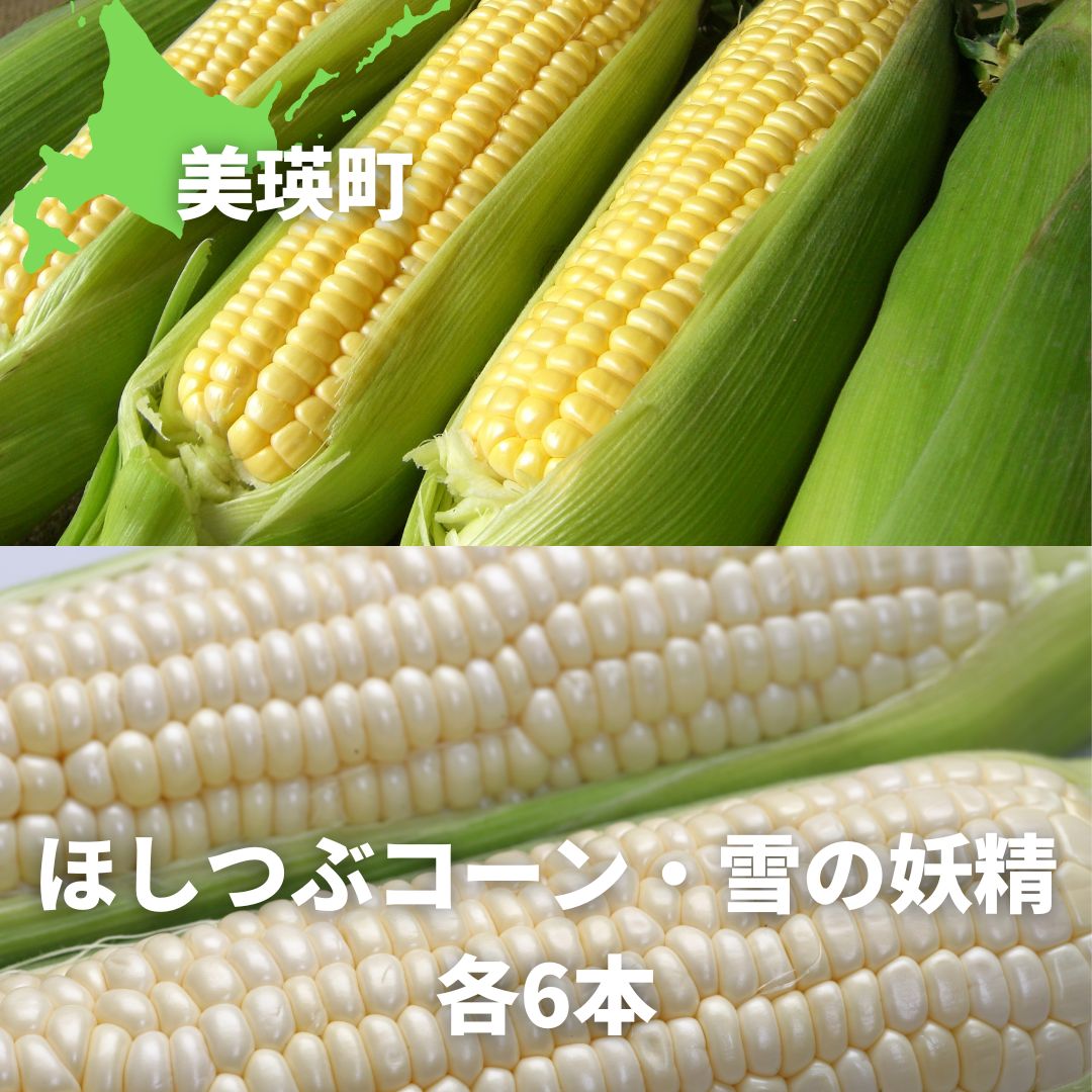 令和6年産 とうもろこし(ほしつぶコーン&雪の妖精)各6本 北海道 北海道美瑛 北海道美瑛町 美瑛町 美瑛 北海道産 美瑛産 スイートコーン とうきび 黒木農場[012-46]