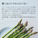 北海道美瑛町の画像2