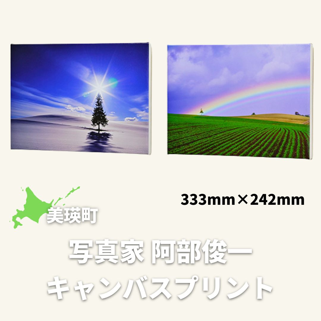 4位! 口コミ数「0件」評価「0」キャンバスプリント(333mm × 242mm)　北海道　北海道美瑛　北海道美瑛町　美瑛町　美瑛　写真　クリスマスツリーの木　写真家　阿部俊･･･ 