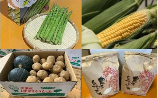 【ふるさと納税】令和6年産野菜の定期便（4回）　北海道　北海